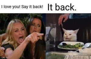 say it back π